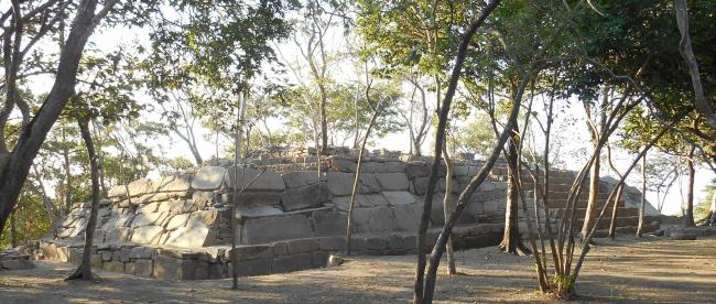 Estructura C-12