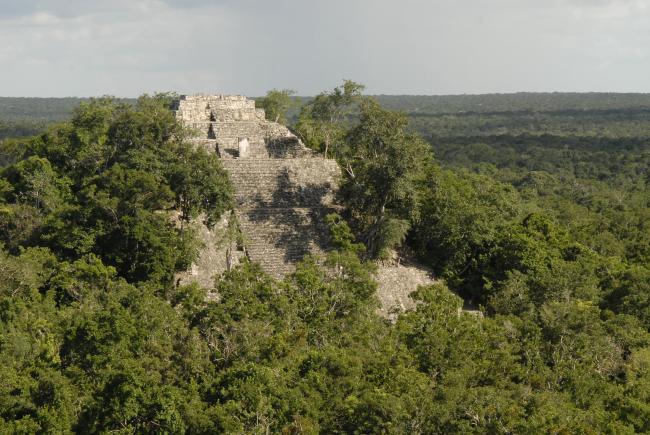 Estructura I