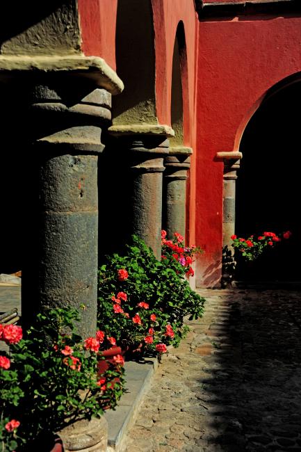 Claustro bajo