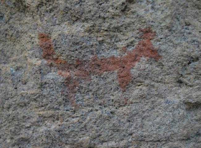 Cuadrúpedo