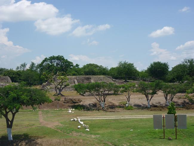 Estructura 5-A