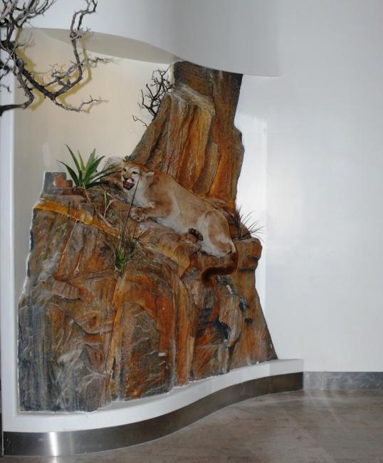 Arqueología