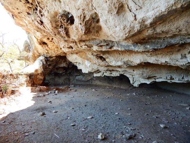 Cueva de la Paloma