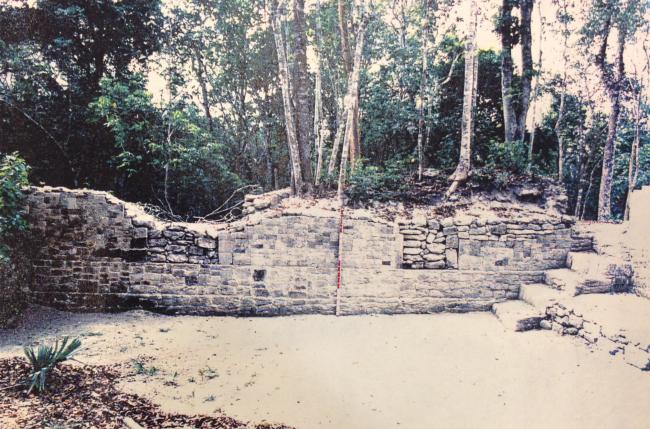 Estructura E-7