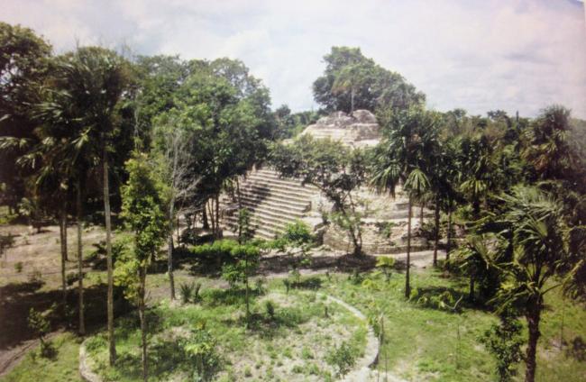 Estructura E-1