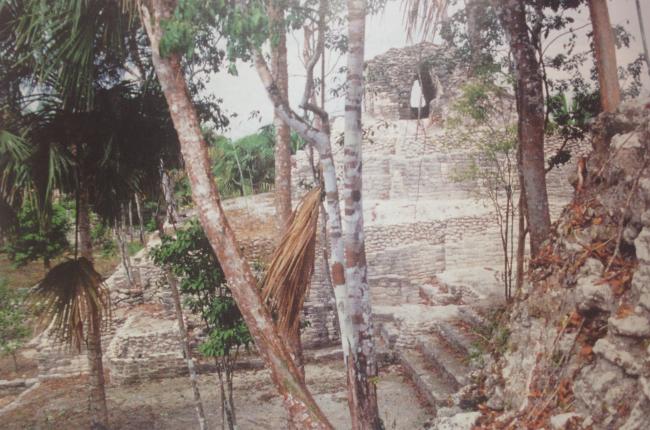 Estructura E-2