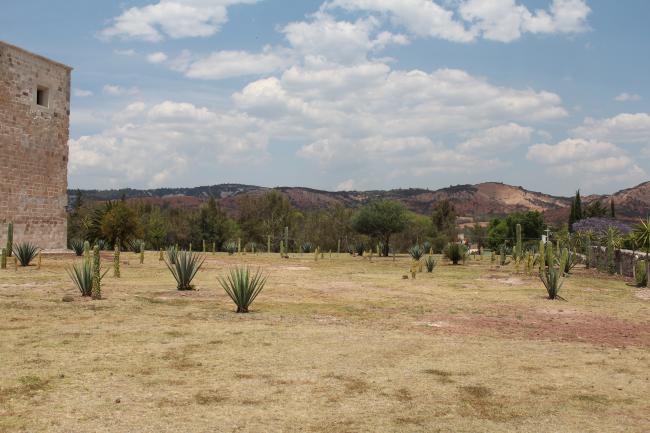 Huerto