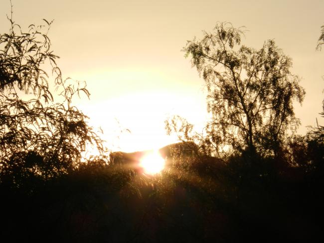 Las "Piedras solares"