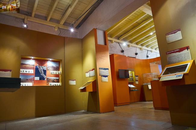 Sala Paleoindígena