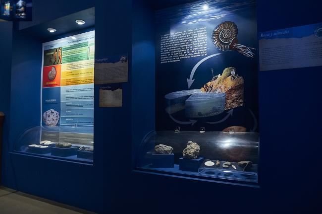 Sala Paleontología