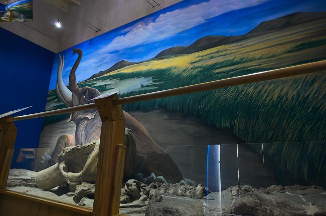 Sala Paleontología