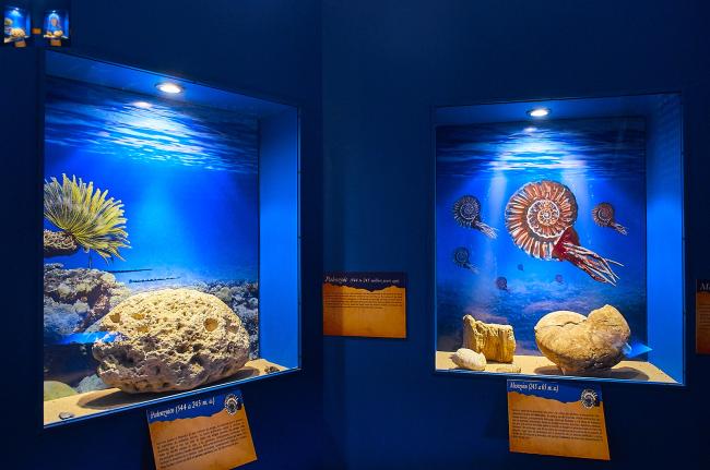 Sala Paleontología