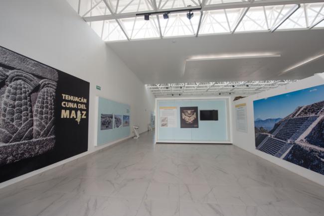 Sala de Exposiciones Temporales