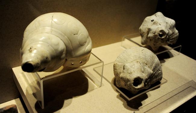 Paleontología en Tlaxcala