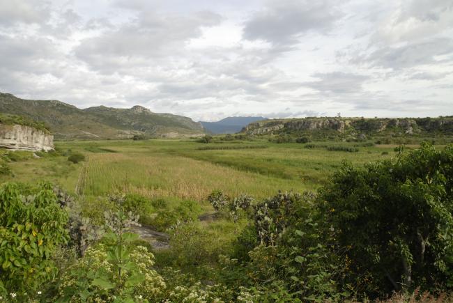 Paisaje natural de Yagul