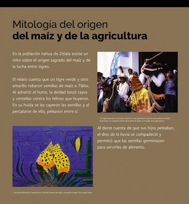 Etnografía