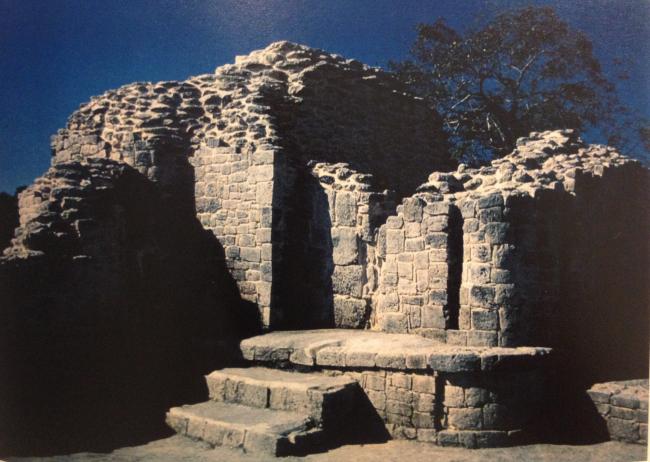Patio Elevado