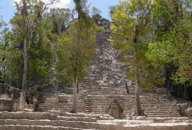 Cobá