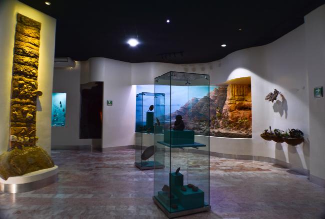 Arqueología