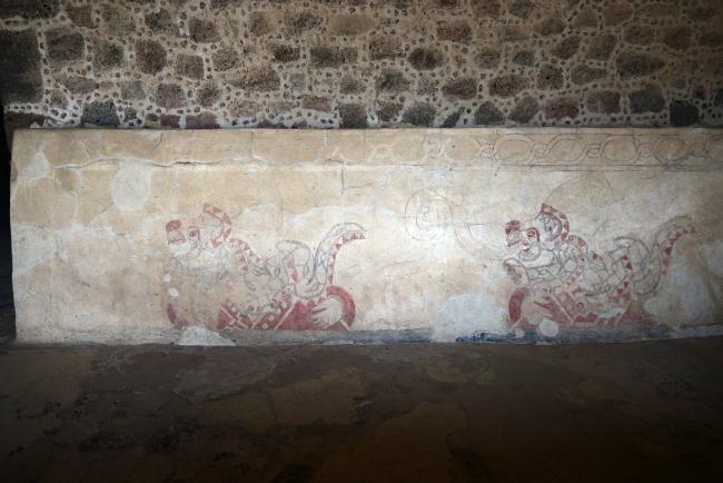 Felinos reticulados