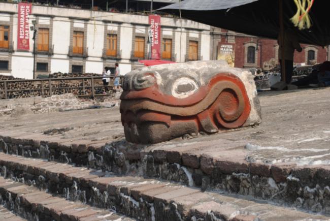 Cabeza de serpiente
