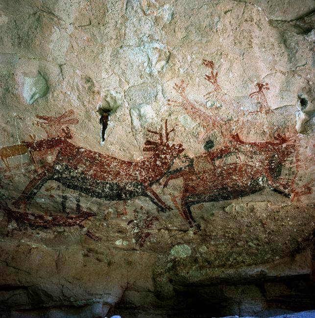 Sector del Panel central