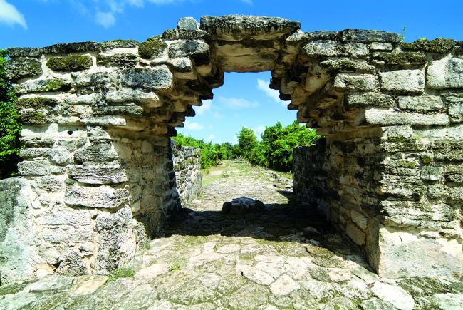 El Arco