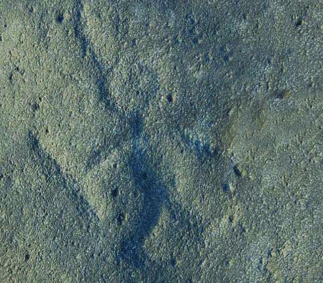 Los cazadores fugaces y el nadador