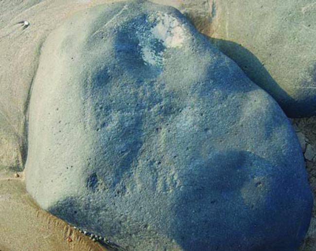 Los cazadores fugaces y el nadador
