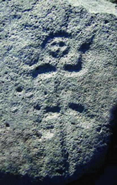 El reptil antropomorfo
