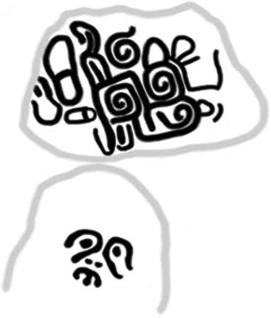 El rostro cenital