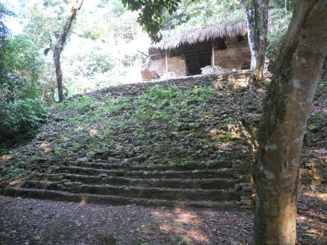 Estructura XVII