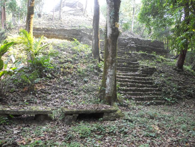 Estructura XXa