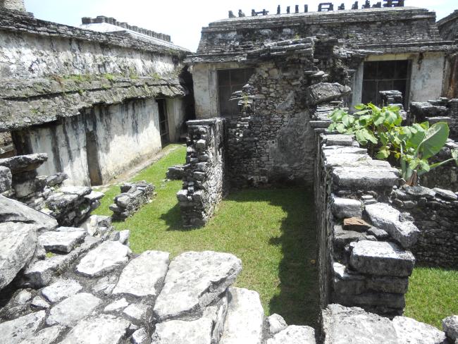 Casa F