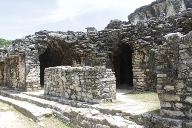 Casa H