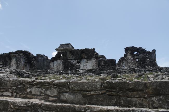 Casa G