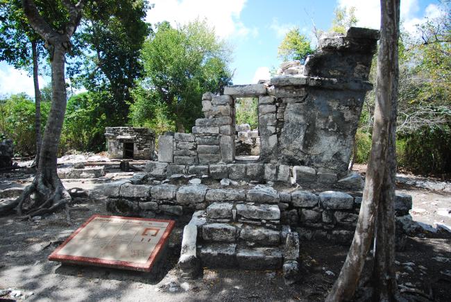 Estructura de las Alfardas