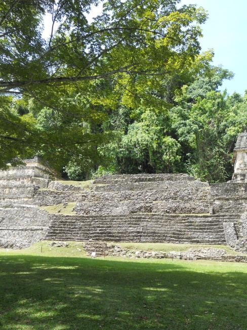 Templo XII A