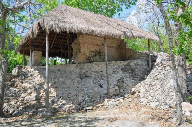 Los Pájaros