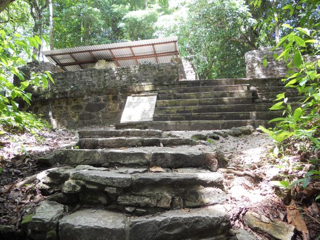 Estructura XXI