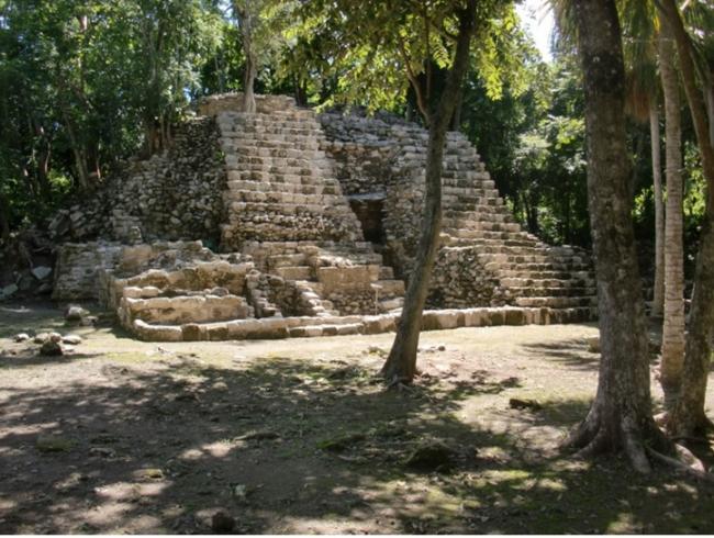 Estructura VI