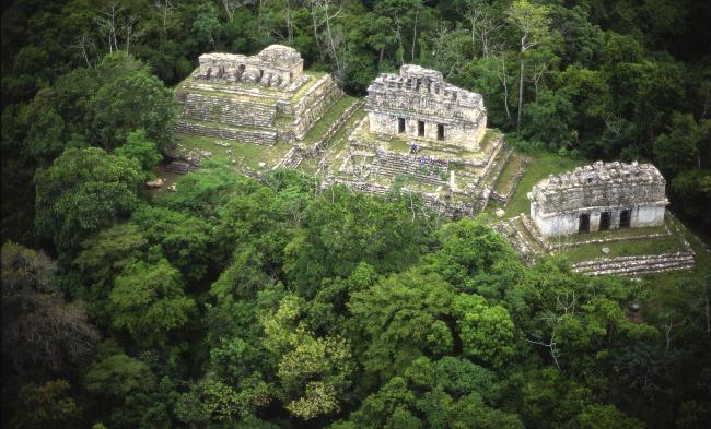 Edificios 39 y 41