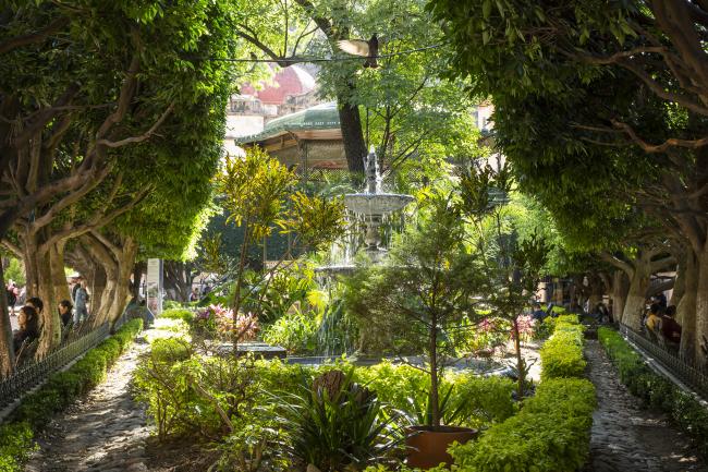 Jardín Reforma