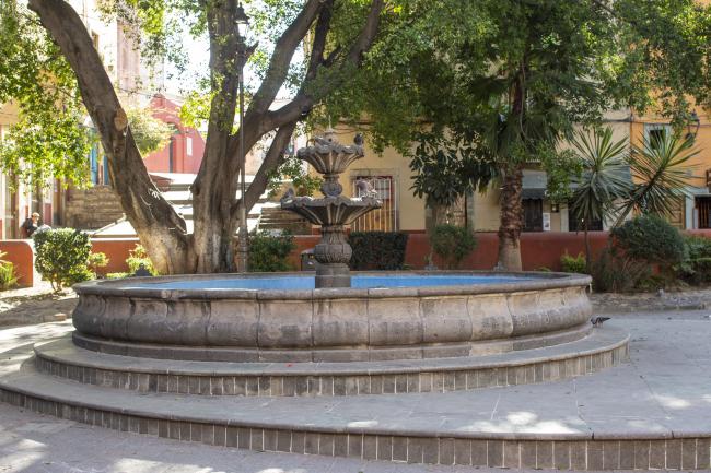 Jardín Reforma
