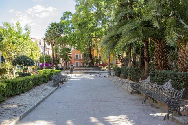 Jardín Reforma