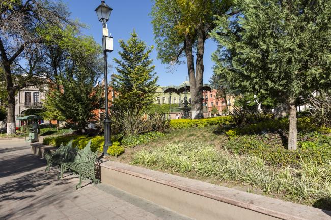 Jardín Zenea