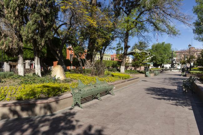 Jardín Zenea