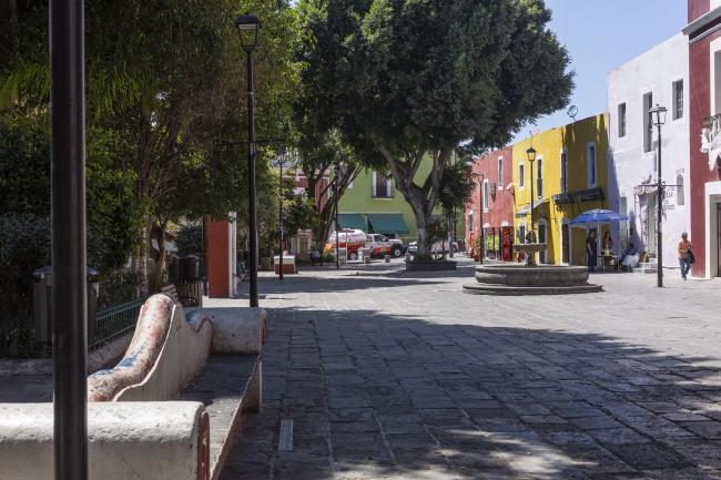 Jardín de los sapos