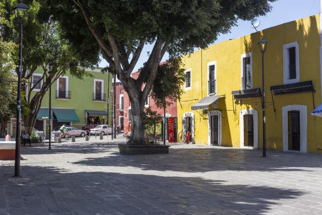 Plaza de los sapos