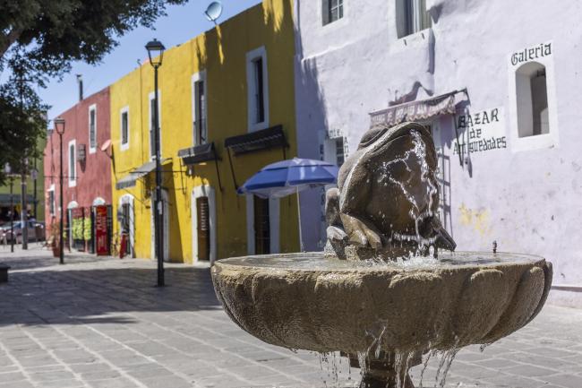 Plaza de los sapos